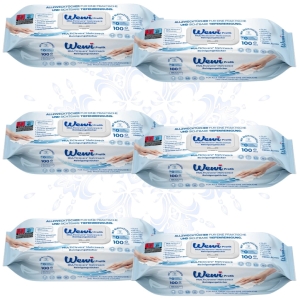 6x Wewi Pratik MULTIClever Chusteczki XXL czyszczące uniwersalne, 100 szt.